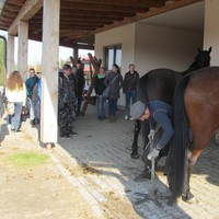 IMG_2977.JPG