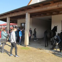 IMG_2981.JPG