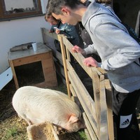 IMG_2985.JPG