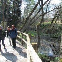 IMG_2997.JPG