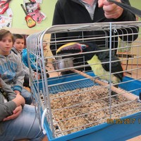 IMG_0894.JPG