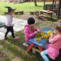 DSCN5030.jpg