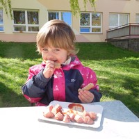 DSCN5097.jpg