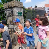 DSCN5396.jpg