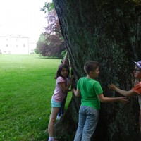 DSCN5420.jpg