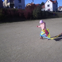 _pb017983.jpg