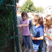 _dscn2474.jpg