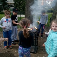 IMG_20170502_130825.jpg