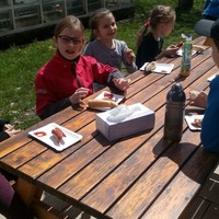 IMG_20170502_131408.jpg