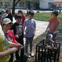 IMG_20170502_132902.jpg