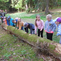 DSCN5650.jpg