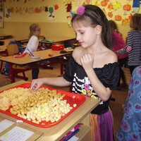 PB028857.JPG