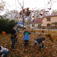DSCN6954.jpg