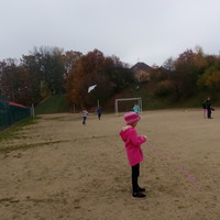 IMG_20171020_132319.jpg