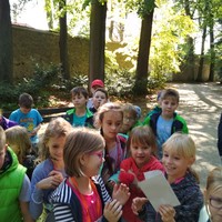 IMG_20170929_124856.jpg