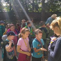 IMG_20170929_133536.jpg