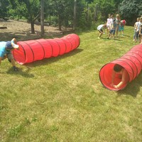 IMG_20180601_125059.jpg