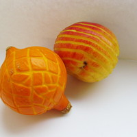 IMG_3539.JPG