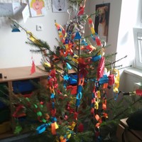 IMG_20181218_130503.jpg
