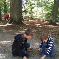 IMG_20181005_131716.jpg