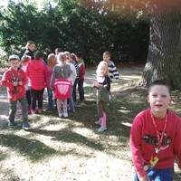 IMG_20181005_132609.jpg