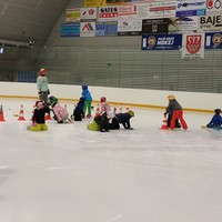 IMG_20181210_104240.jpg