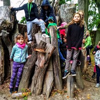 IMG_20191004_130916.jpg