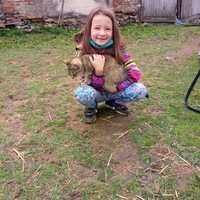 IMG-20200514-WA0004.jpg