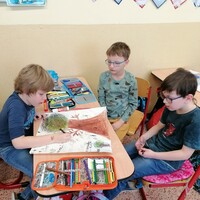 IMG_20230306_120719.jpg