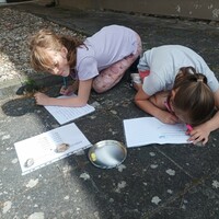 IMG_20230623_103716.jpg
