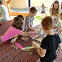 IMG_20230602_094555(1).jpg