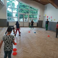 IMG_20230608_130958.jpg