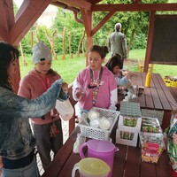 IMG_20230608_132346.jpg