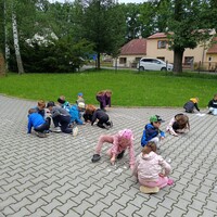 IMG_20240612_112636.jpg