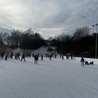 IMG_2229.jpg