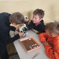 IMG_20240614_080913.jpg