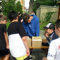 IMG_8356.JPG