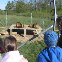 IMG_8150.JPG