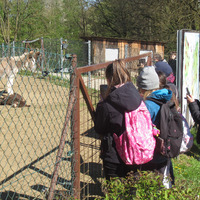 IMG_8207.JPG
