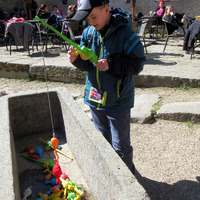 IMG_8230.JPG