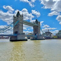 IMG_5101.jpeg