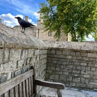 IMG_5129(1).jpeg
