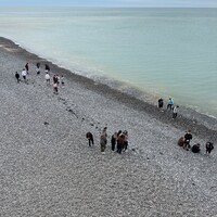 IMG_5131(1).jpeg