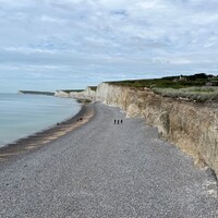 IMG_5156.jpeg