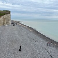 IMG_5157.jpeg
