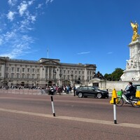 IMG_5294.jpeg