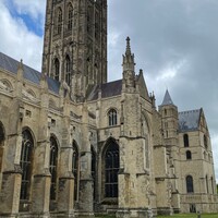 IMG_5372.jpeg