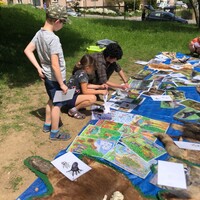 IMG_3333.jpeg