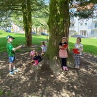 IMG_20240527_111135.jpg