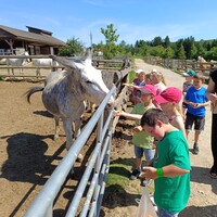 IMG_20240618_102122.jpg